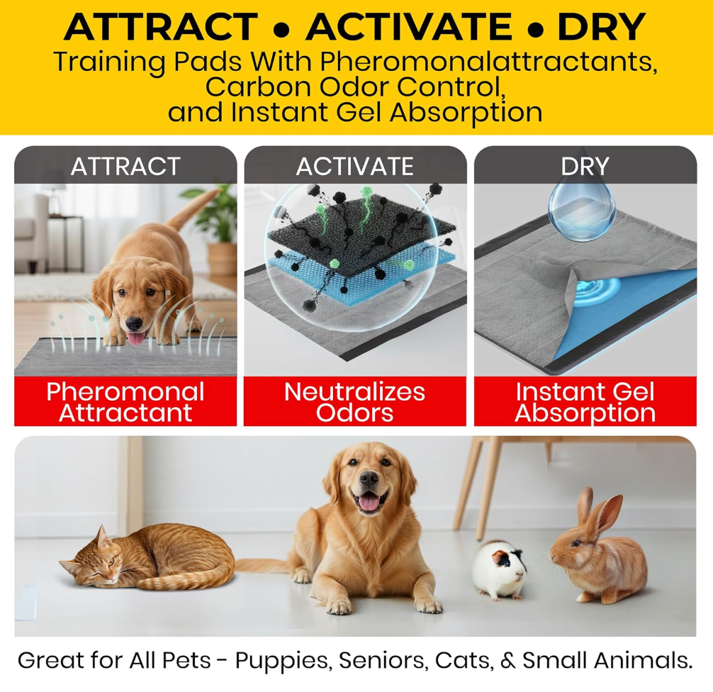 Charcoal Odor-Control Training Pads (Pack of 100)