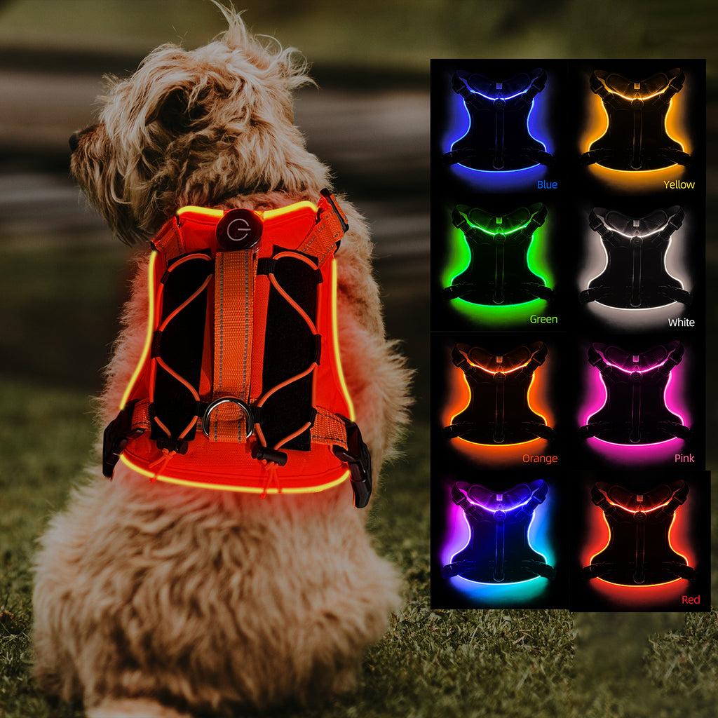 Rechargeable LED Safety Harness for Dogs