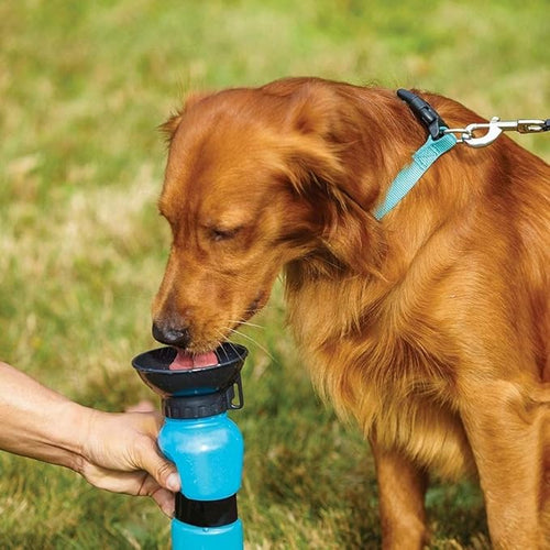 Portable Pet Water Bottle with Pump Dispenser