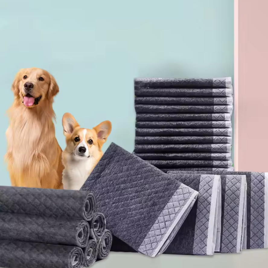 Charcoal Odor-Control Training Pads (Pack of 100)