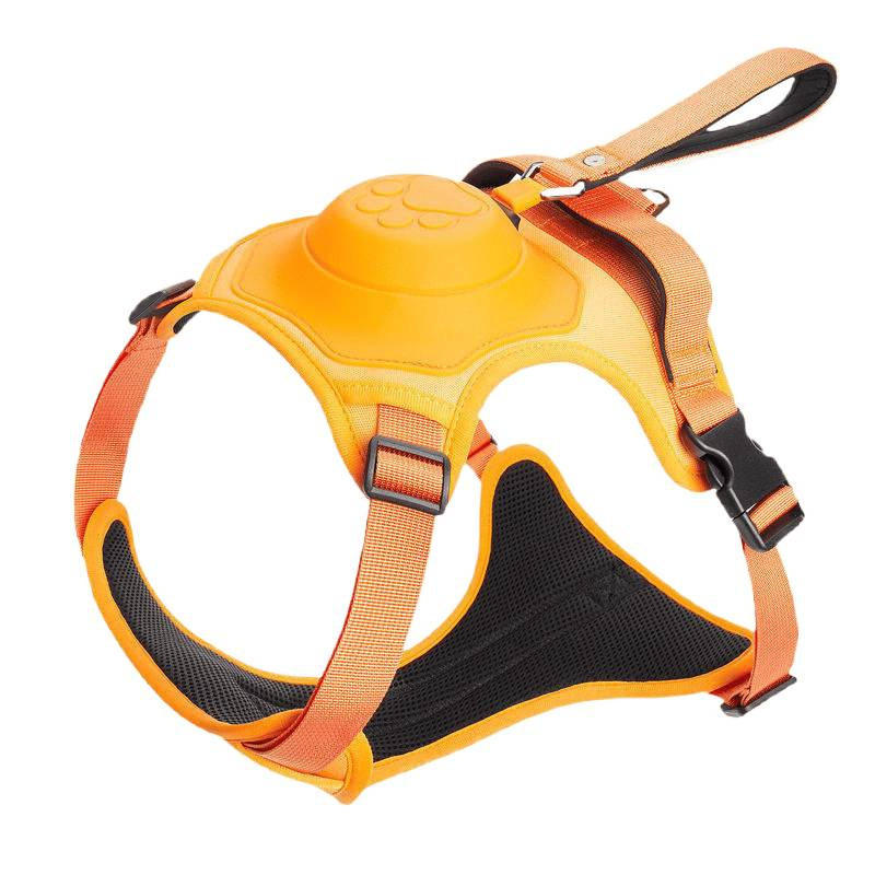 No-Pull Walking Harness & Leash Set for Dogs