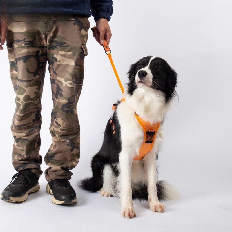 No-Pull Walking Harness & Leash Set for Dogs