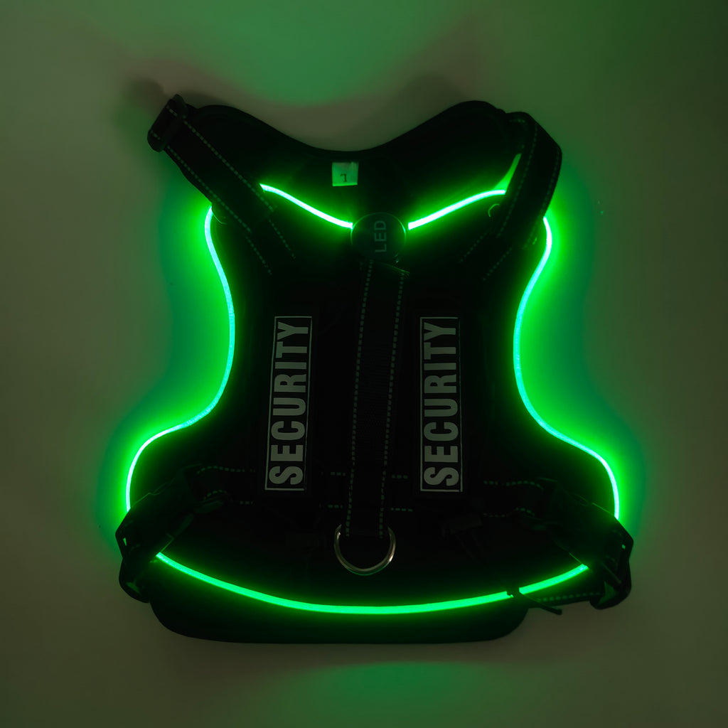 Rechargeable LED Safety Harness for Dogs