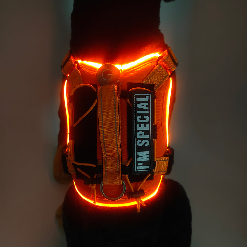 Rechargeable LED Safety Harness for Dogs