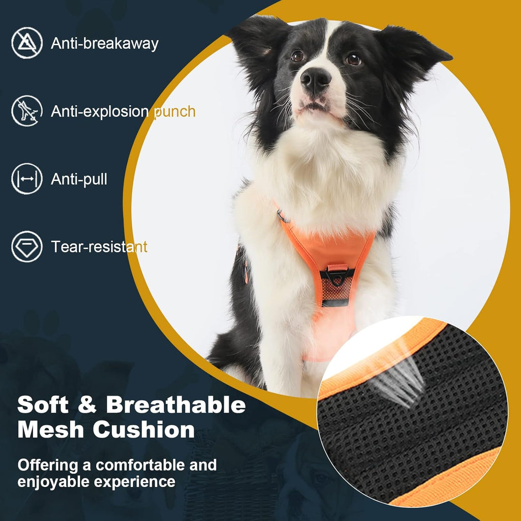 No-Pull Walking Harness & Leash Set for Dogs