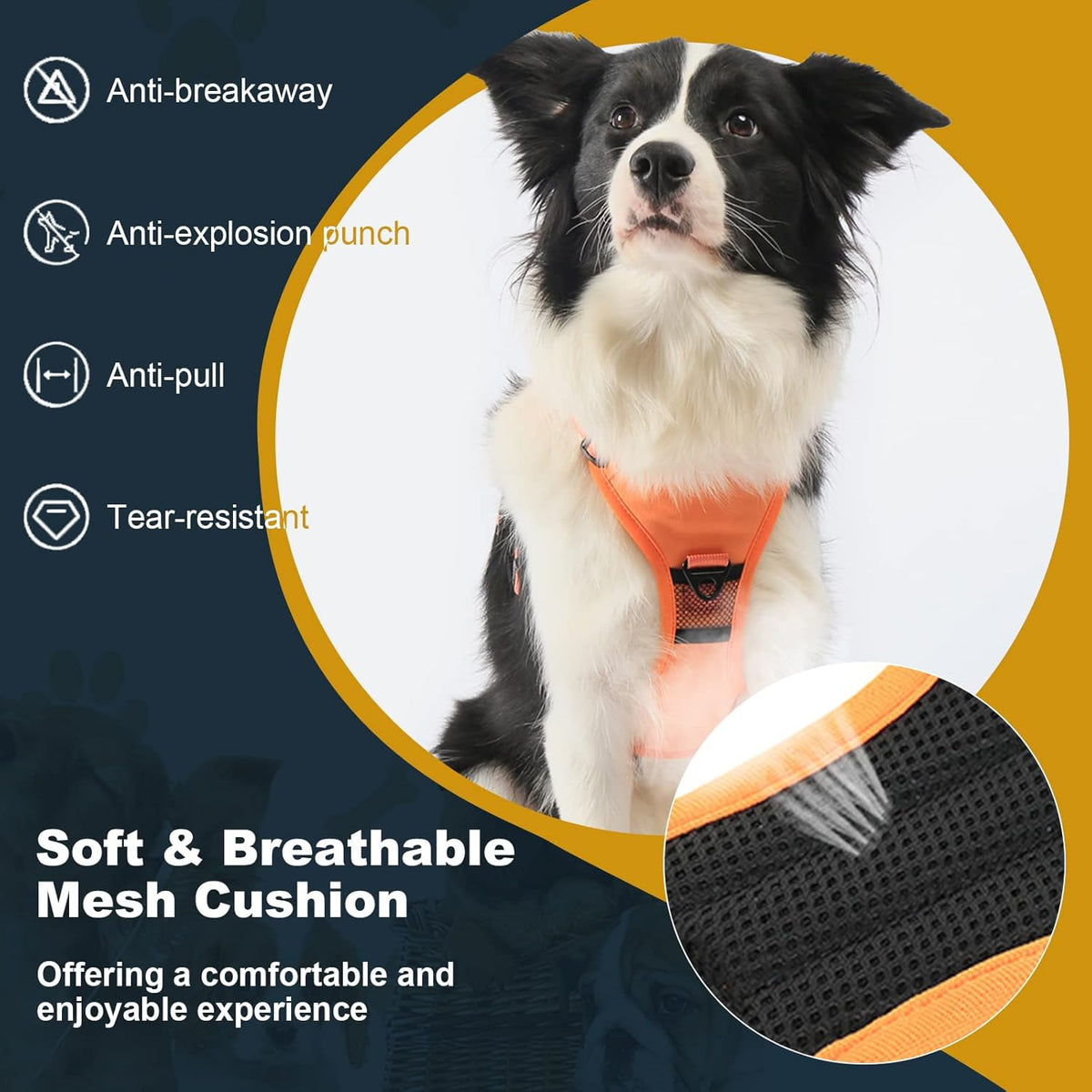 No-Pull Walking Harness & Leash Set for Dogs
