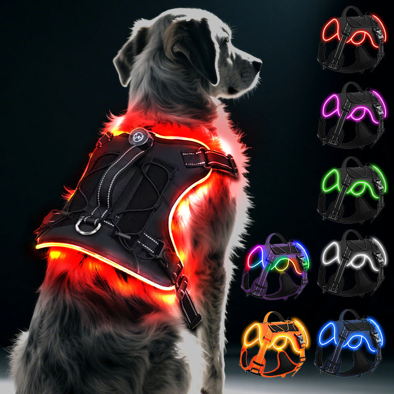 Rechargeable LED Safety Harness for Dogs