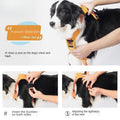No-Pull Walking Harness & Leash Set for Dogs