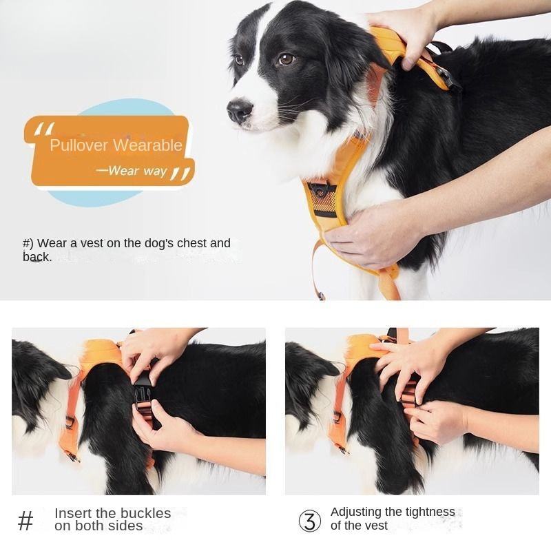 No-Pull Walking Harness & Leash Set for Dogs