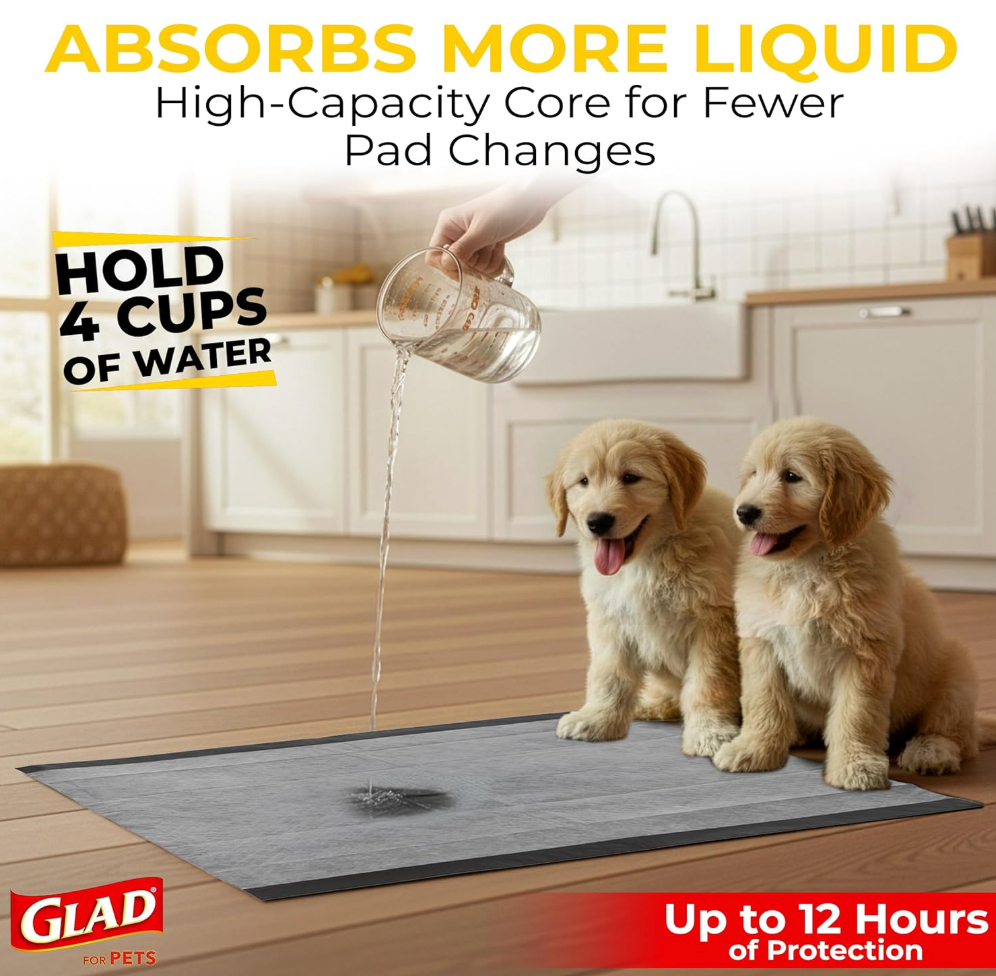 Charcoal Odor-Control Training Pads (Pack of 100)