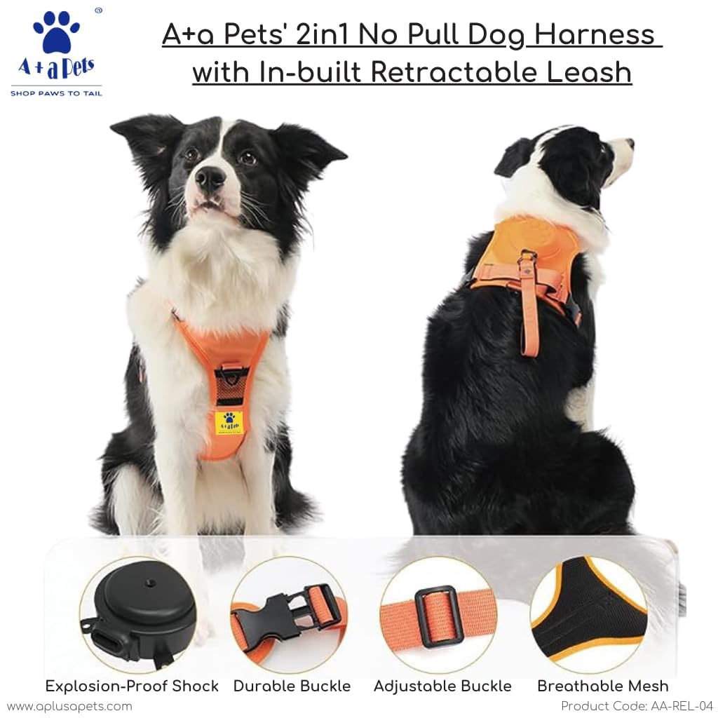 No-Pull Walking Harness & Leash Set for Dogs