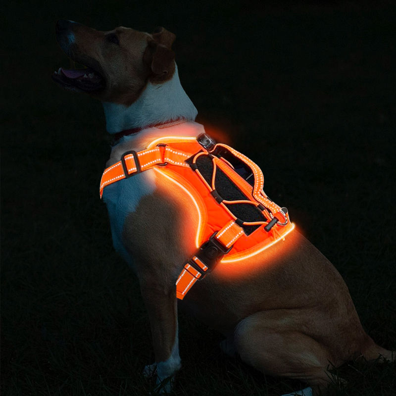 Rechargeable LED Safety Harness for Dogs