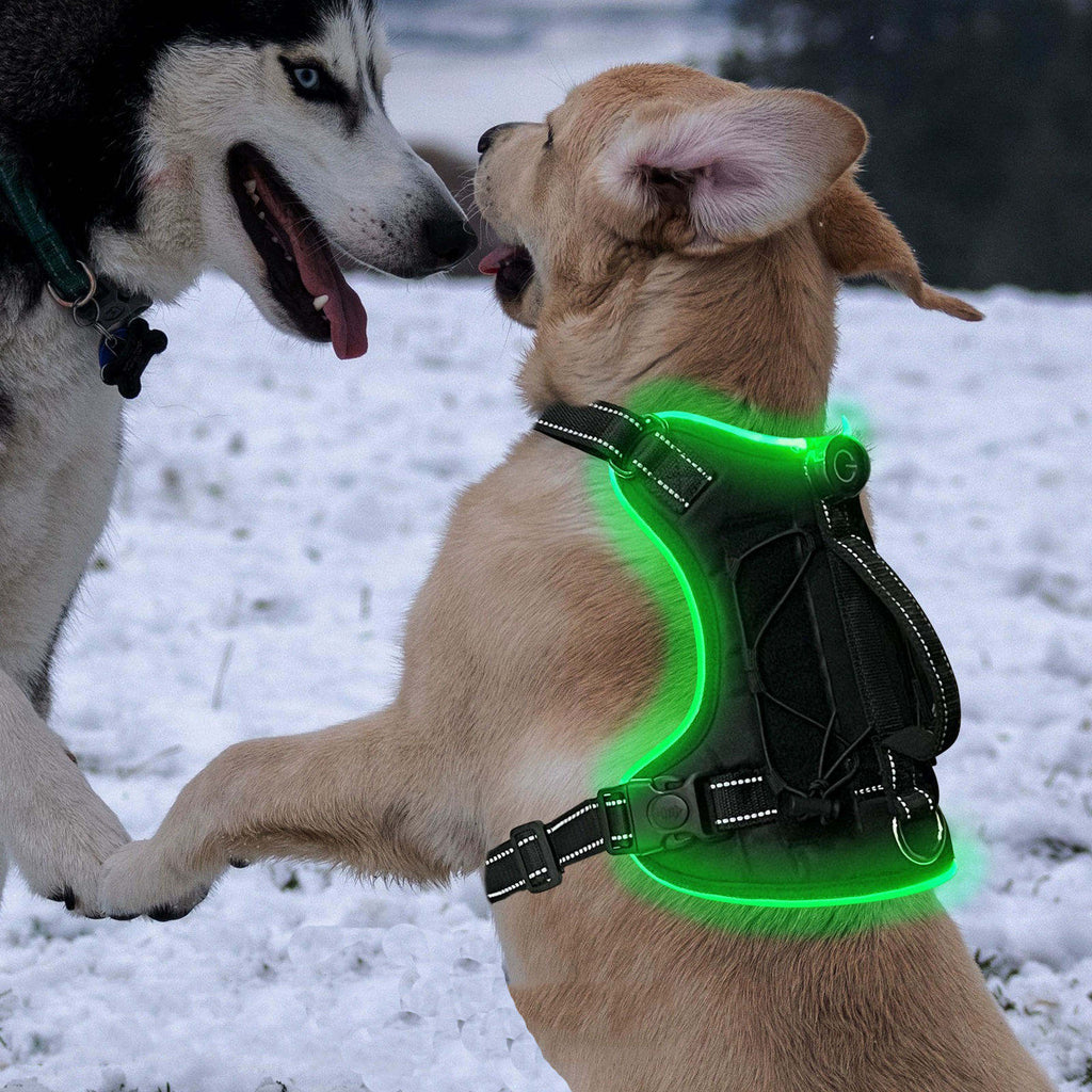 Rechargeable LED Safety Harness for Dogs