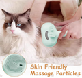 3-in-1 Steam Grooming Brush for Cats