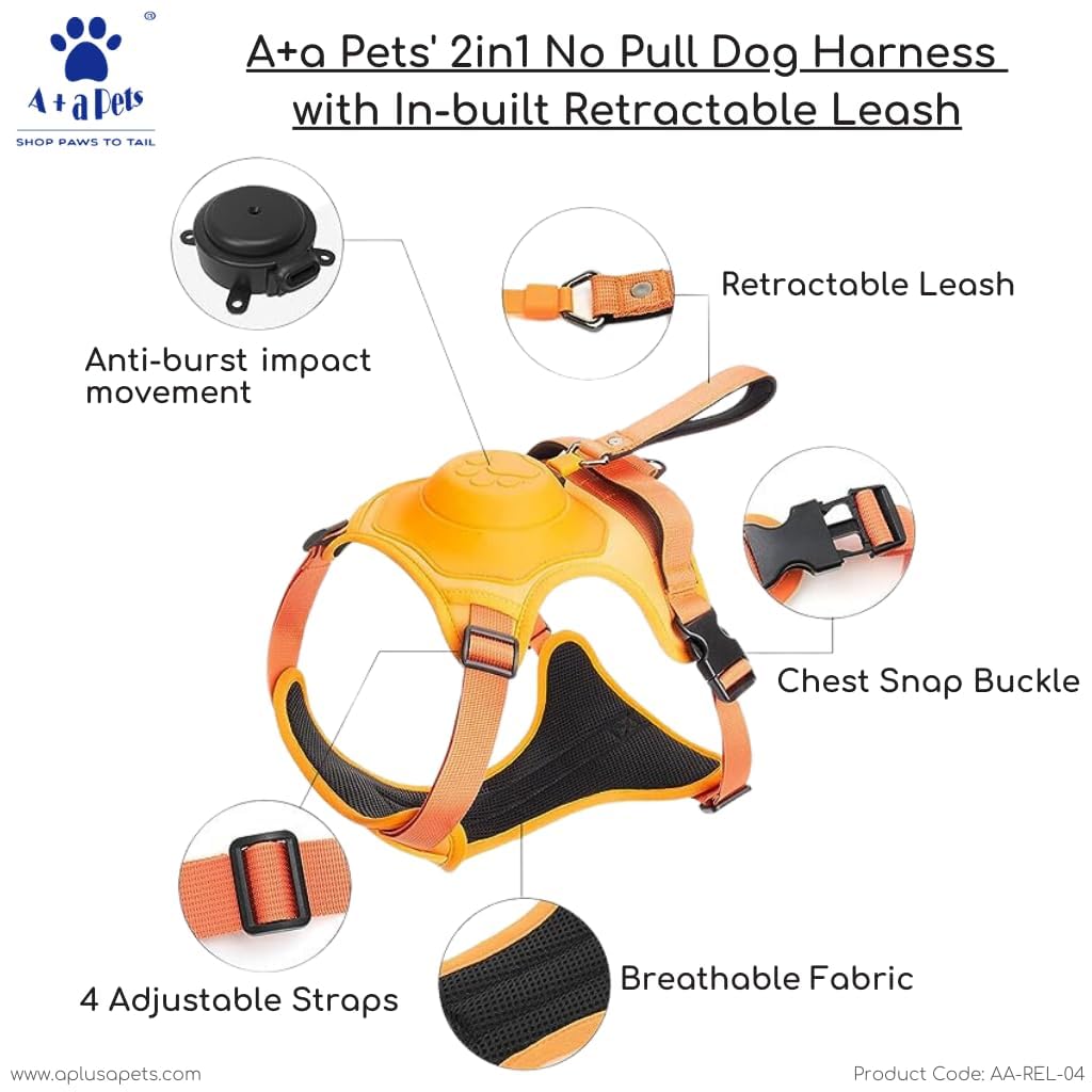No-Pull Walking Harness & Leash Set for Dogs