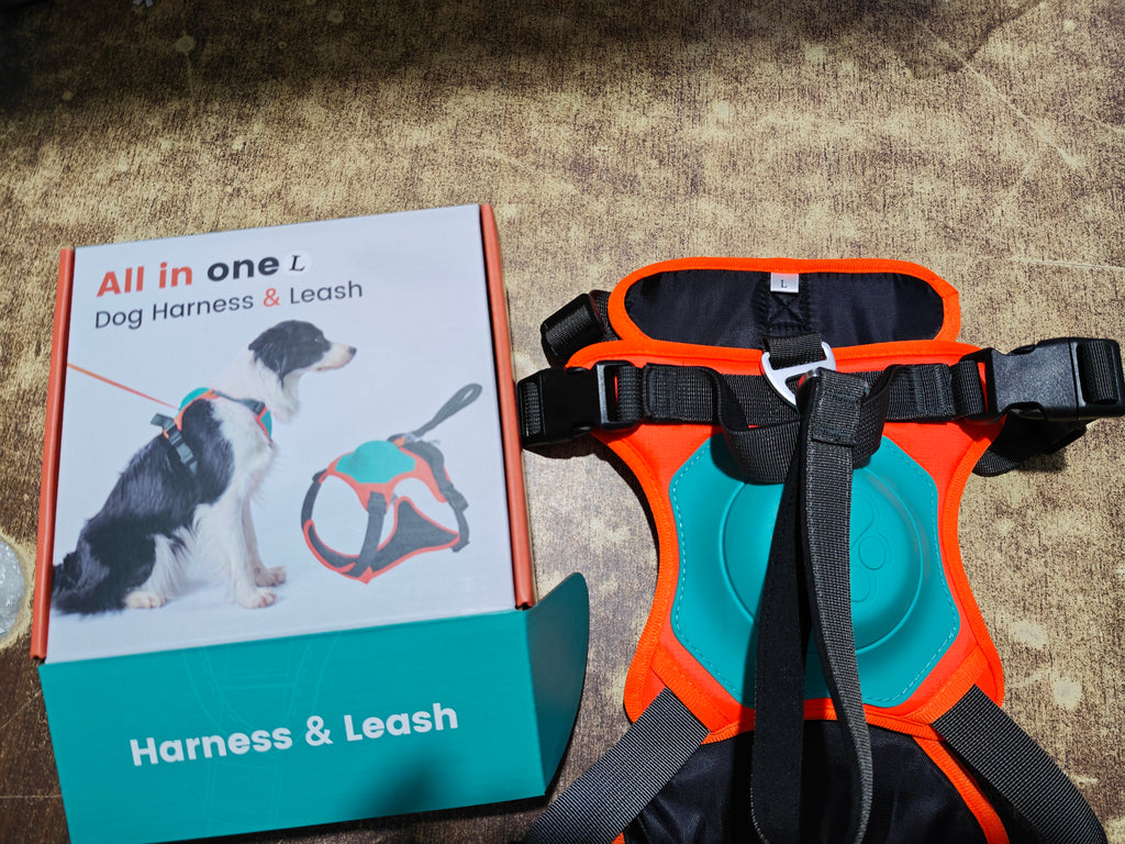 No-Pull Walking Harness & Leash Set for Dogs