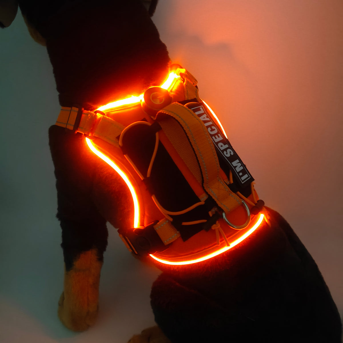 Rechargeable LED Safety Harness for Dogs