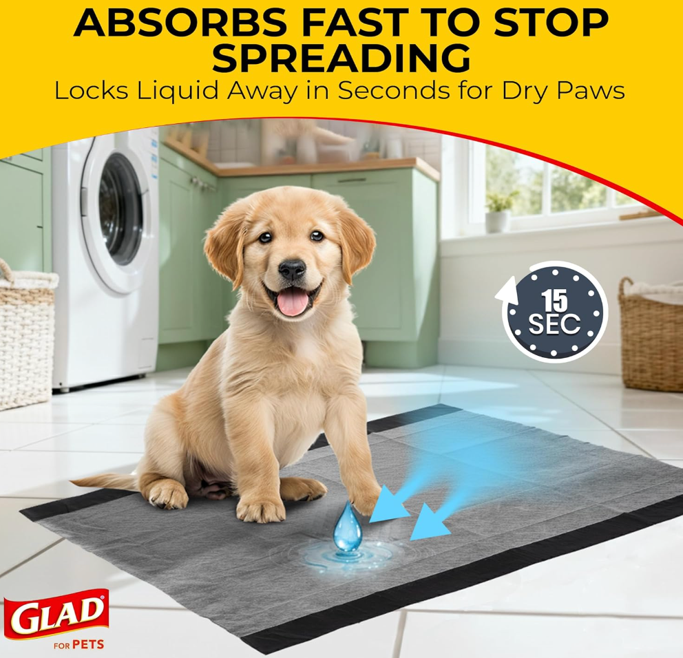 Charcoal Odor-Control Training Pads (Pack of 100)