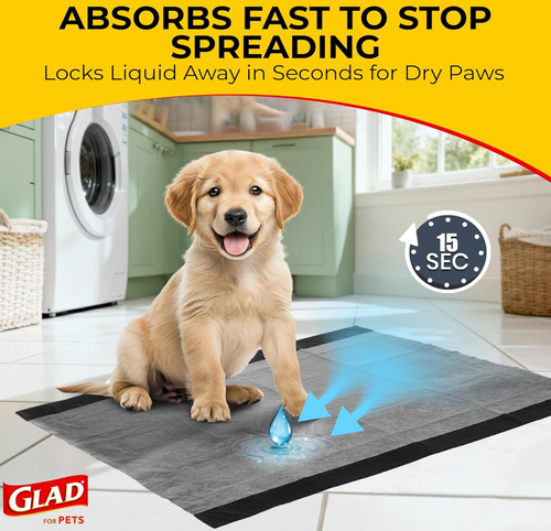 Charcoal Odor-Control Training Pads (Pack of 100)