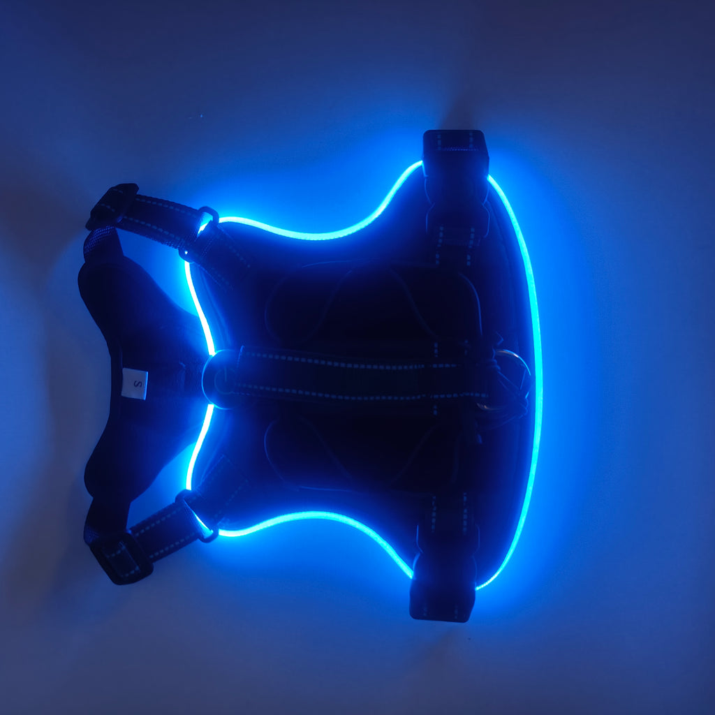 Rechargeable LED Safety Harness for Dogs