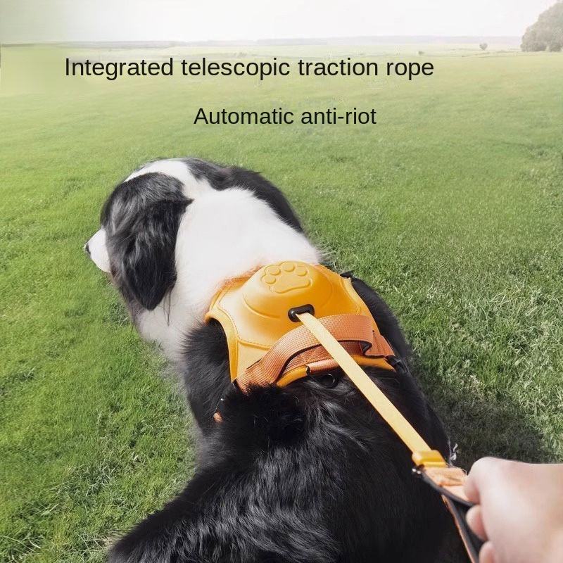 No-Pull Walking Harness & Leash Set for Dogs
