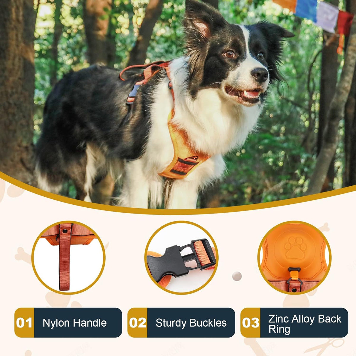 No-Pull Walking Harness & Leash Set for Dogs
