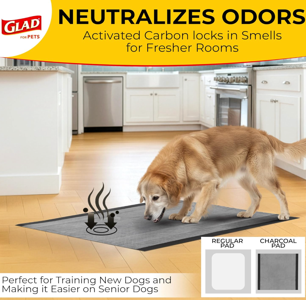 Charcoal Odor-Control Training Pads (Pack of 100)