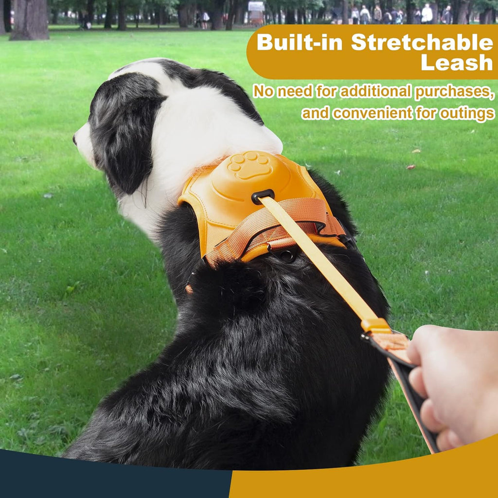 No-Pull Walking Harness & Leash Set for Dogs