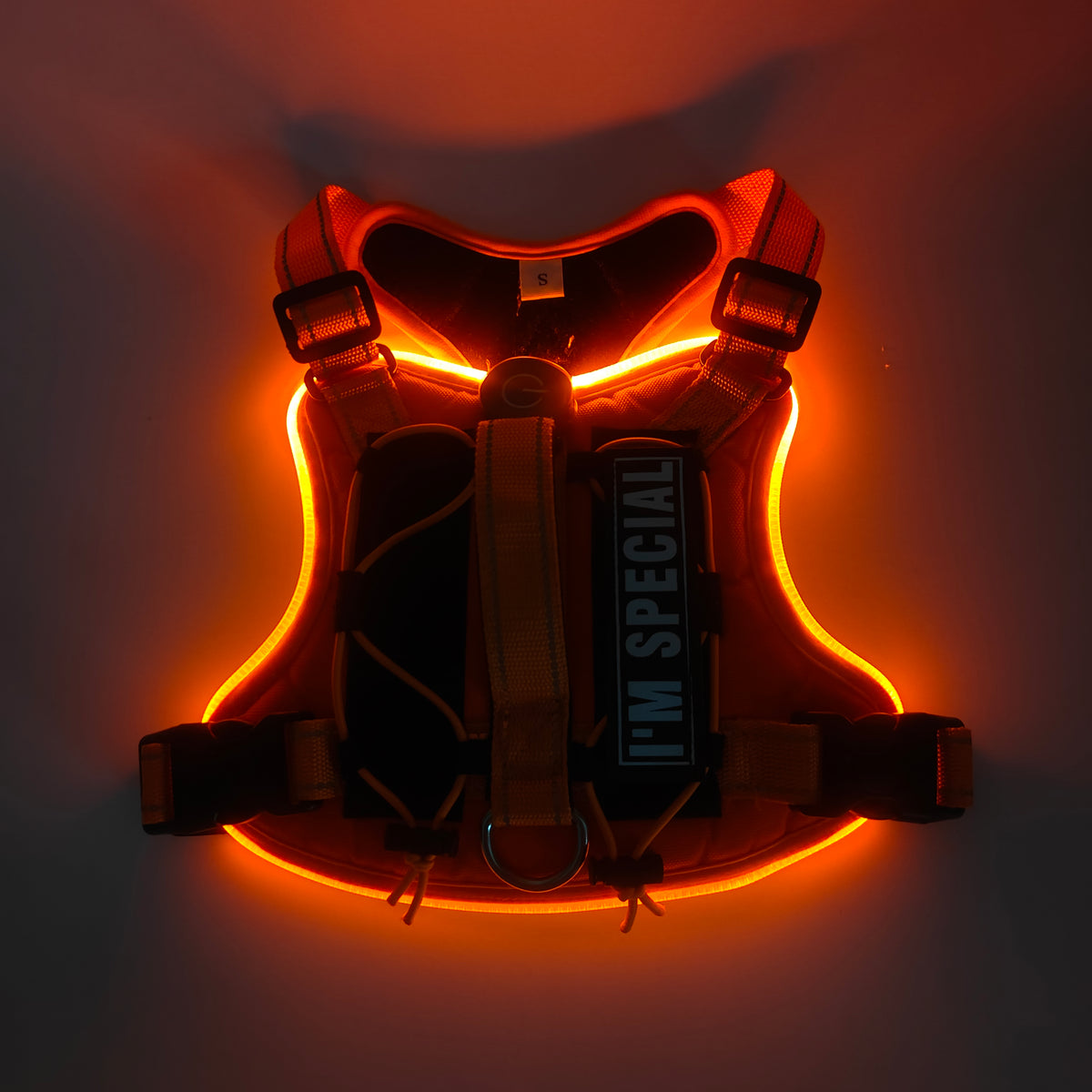 Rechargeable LED Safety Harness for Dogs