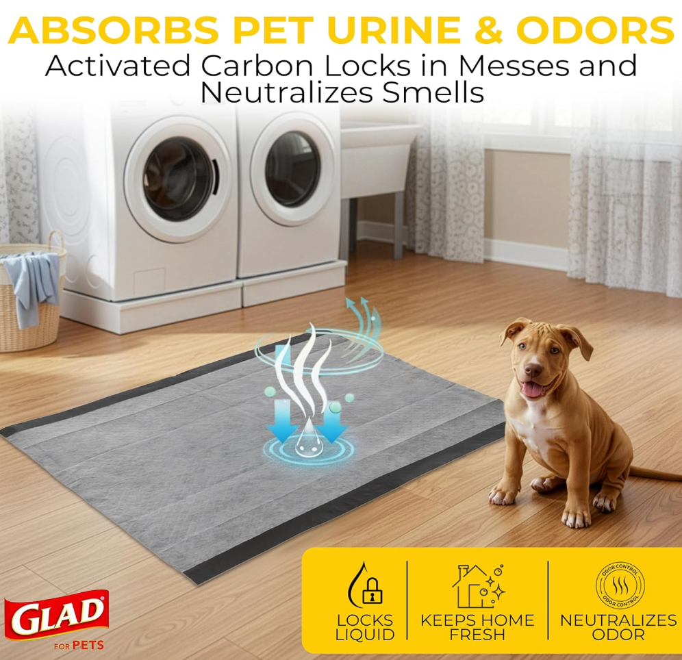 Charcoal Odor-Control Training Pads (Pack of 100)