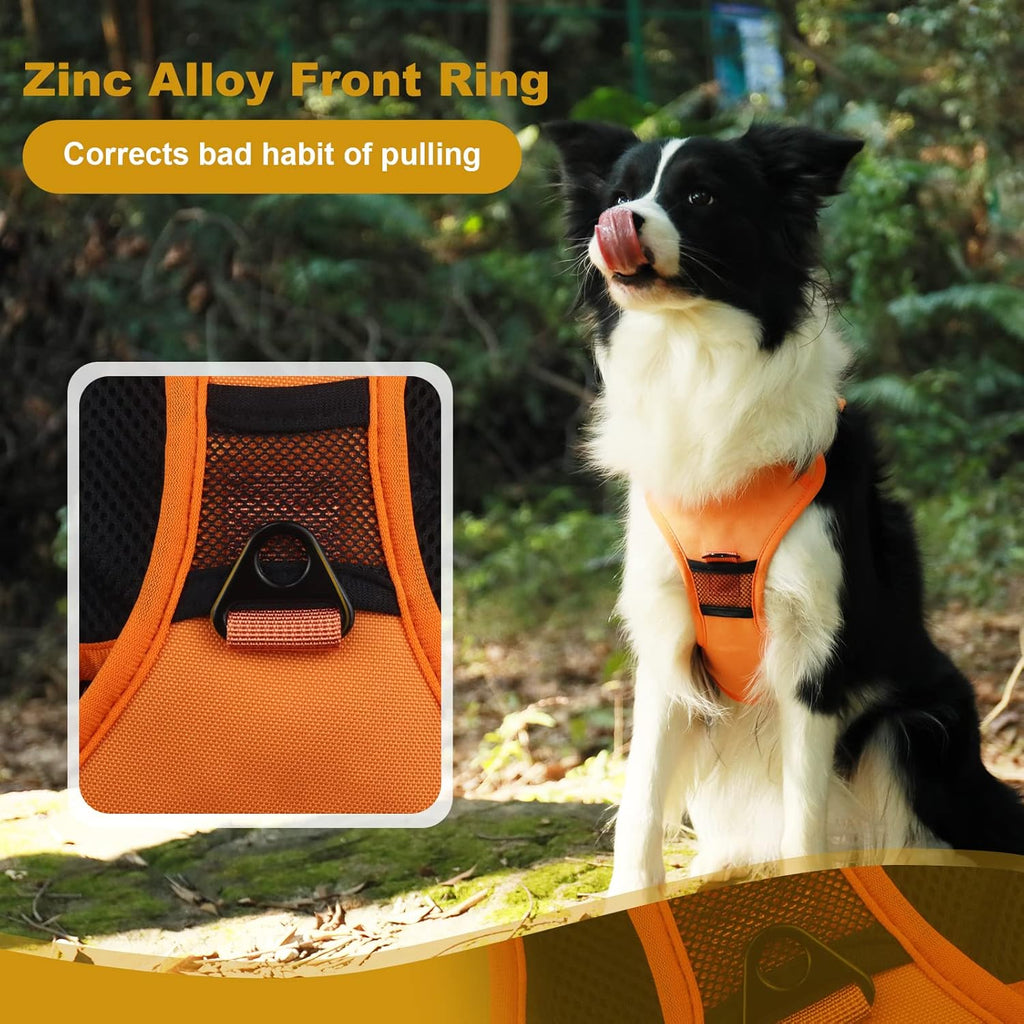 No-Pull Walking Harness & Leash Set for Dogs