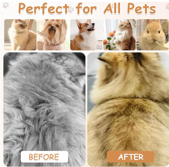 3-in-1 Steam Grooming Brush for Cats
